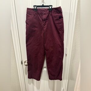 A New Day Deep Burgundy Stretch Pants